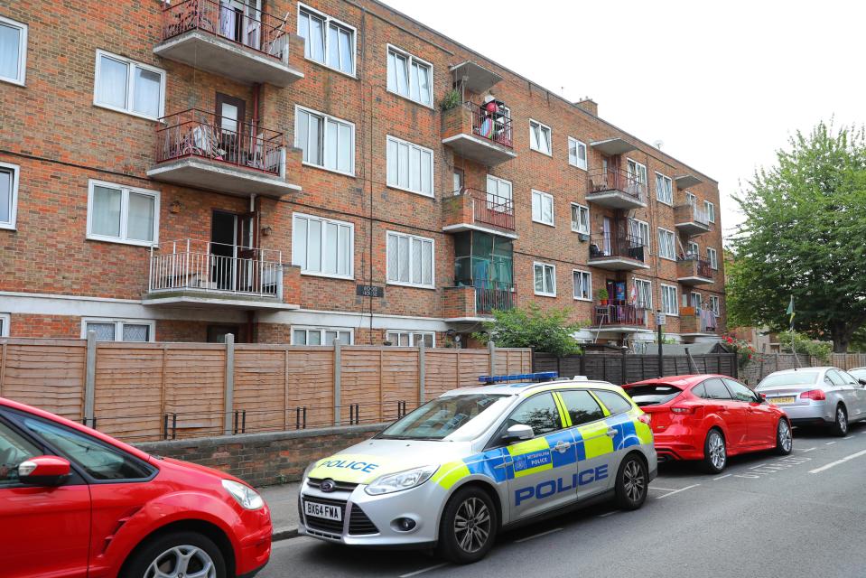  The 17-year-old girl was found stabbed to death in Camberwell on Thursday