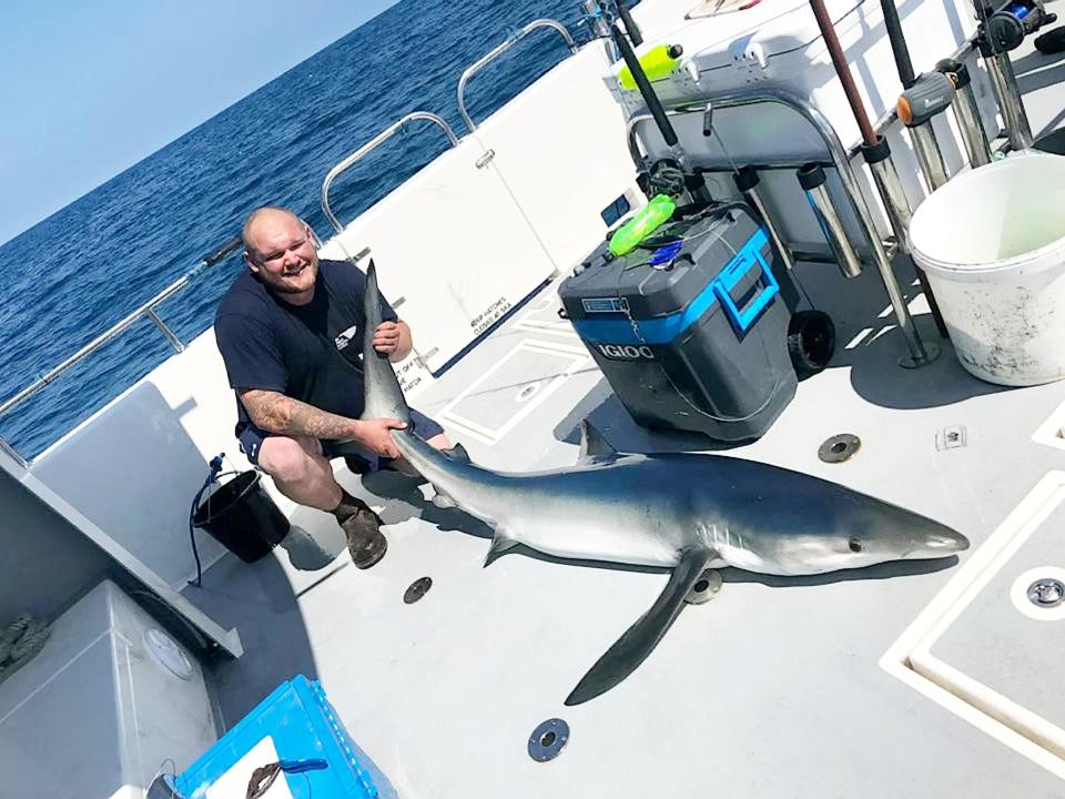  The sharks were well treated on board the Reel Deel before being set free back in the sea