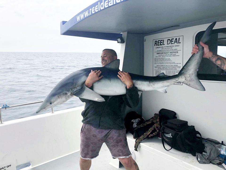  Dan Hawkins with a big Blue shark