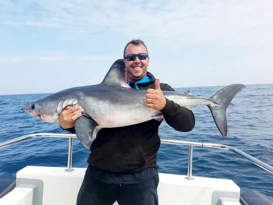  Five fishermen caught 20 sharks in one trip off the North Devon coast including Porbeagles