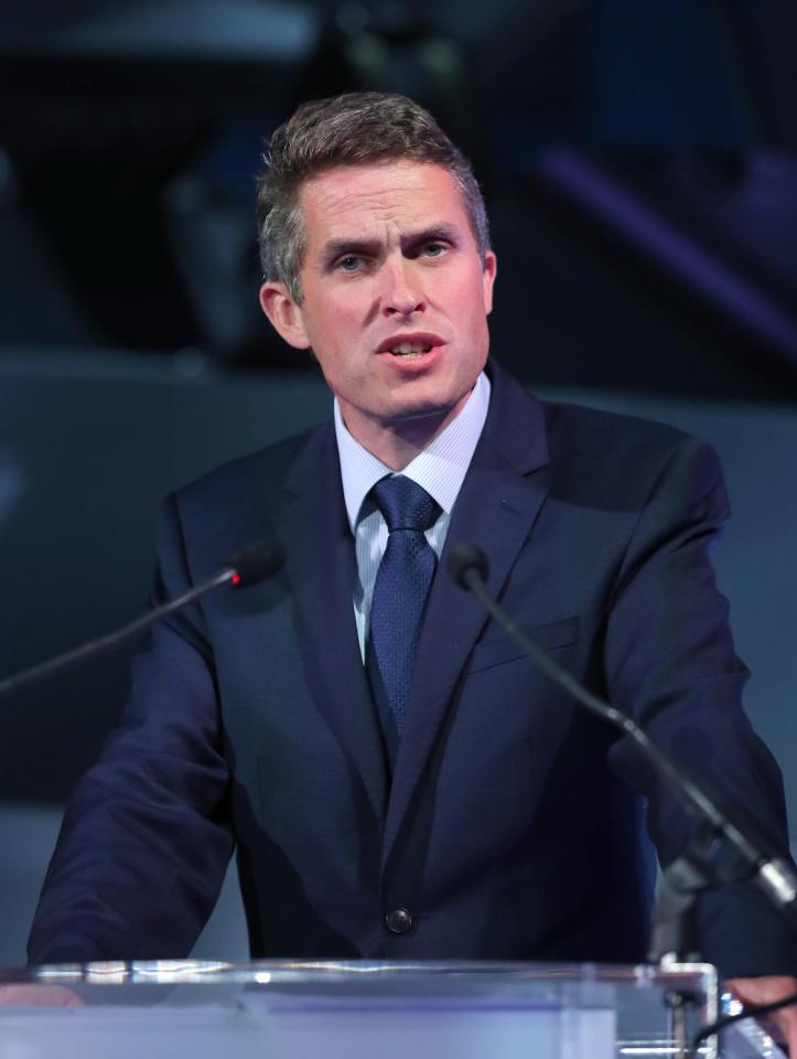  Defence Secretary Gavin Williamson has told top Tories they must scrap plans to hike up taxes - and cut them instead