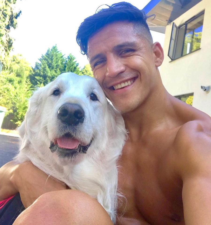  Dog lover Alexis Sanchez will want to let his dogs run around in the huge garden