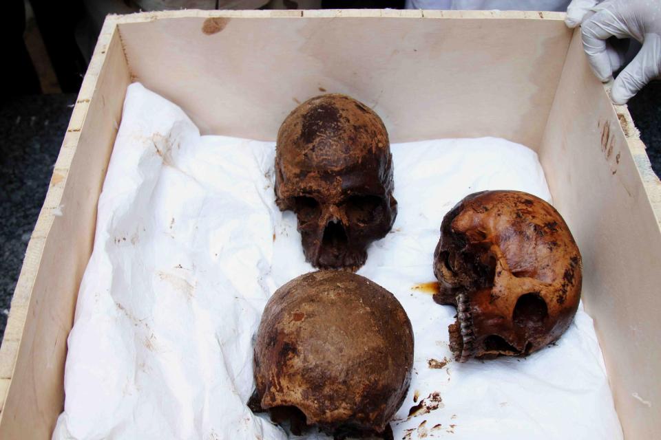  Skulls of the three decomposed mummies found inside the mysteriously large coffin