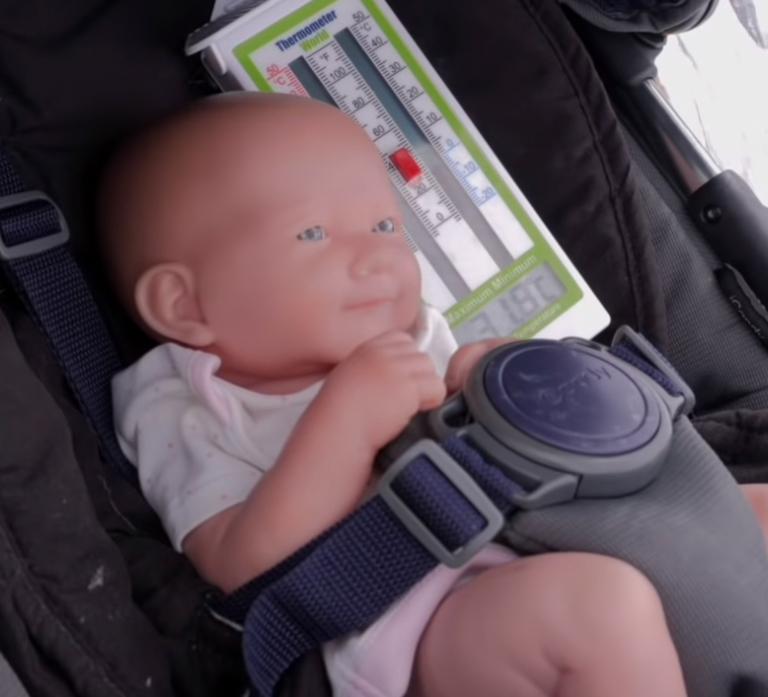  They placed a doll baby in a pram in the back garden - and over seven minutes the results were shocking