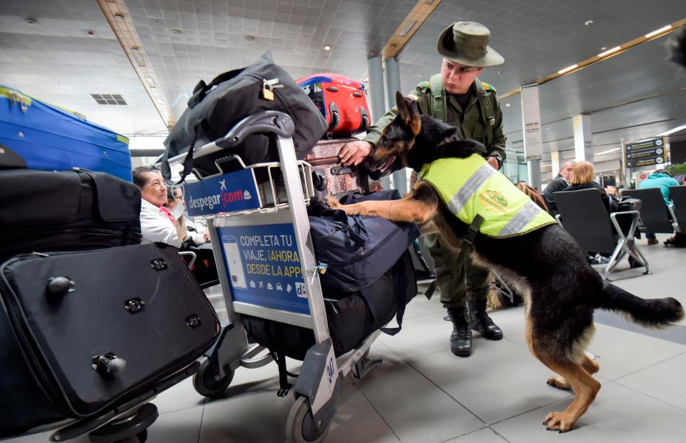 Police said they will now move Sombra — Shadow in English — to Bogota airport, which is considered a safer environment