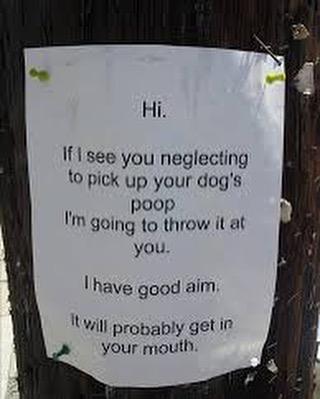  For the neighbour's sake, we hope their aim isn't that good