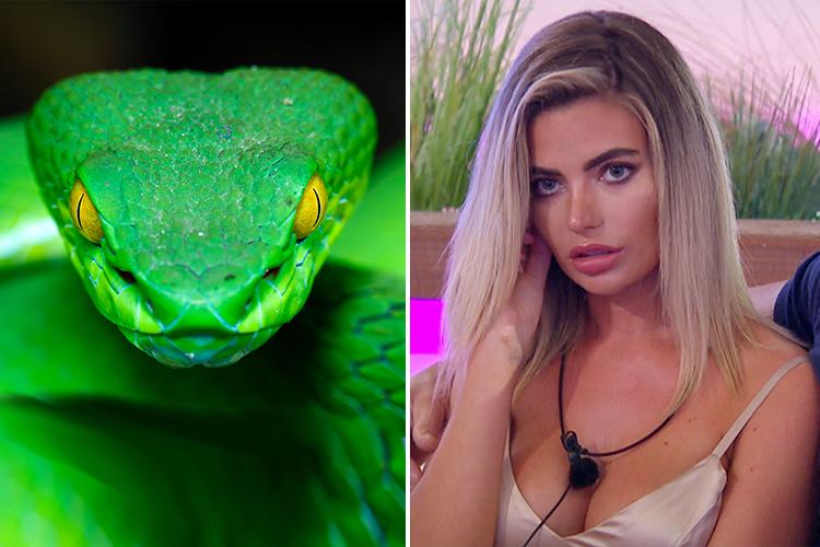  The comparison of Megan to a snake was likely based on her recent 'snakeish' behaviour