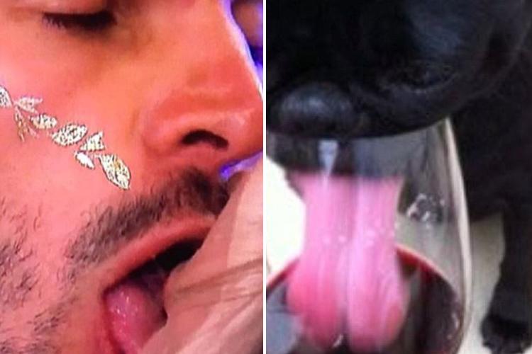  Adam's kissing technique was compared to a dog's tongue