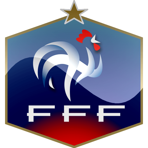 This was the previous badge of FFF