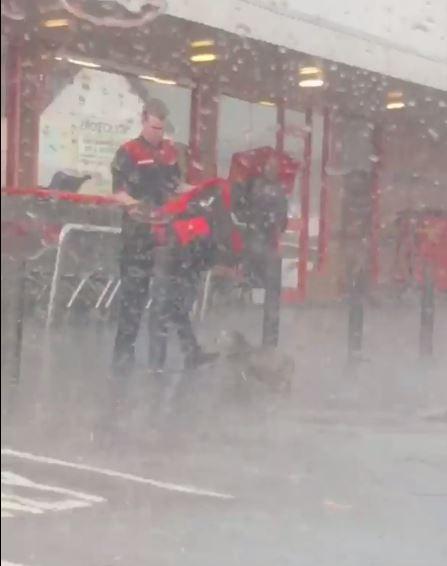 Heart-warming moment Iceland worker puts his coat on dog left outside store in heavy rain and becomes hero on Facebook