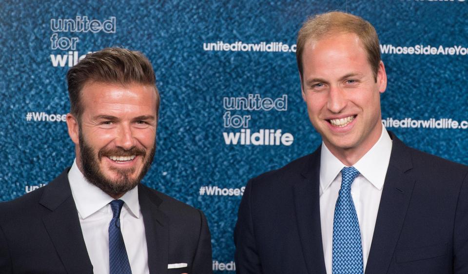  David has worked with Prince William on the Olympic bid and other projects