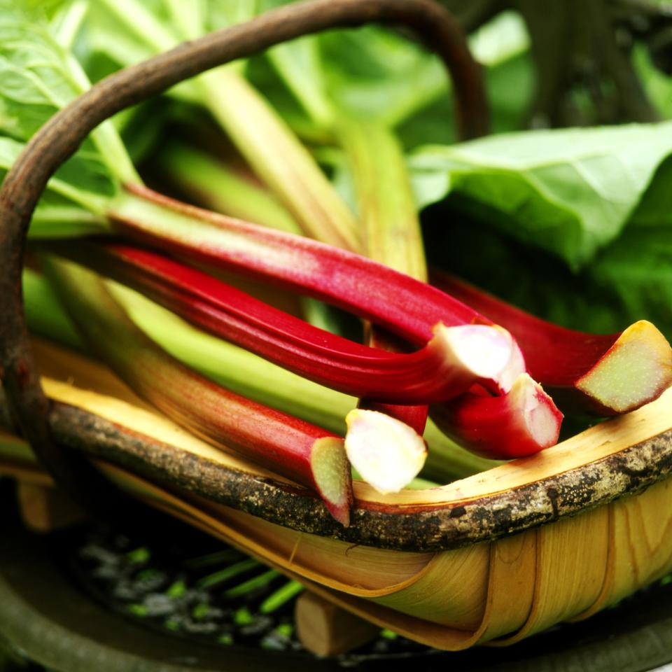  Who knew rhubarb was a laxative? Too many crumbles, stomach grumbles