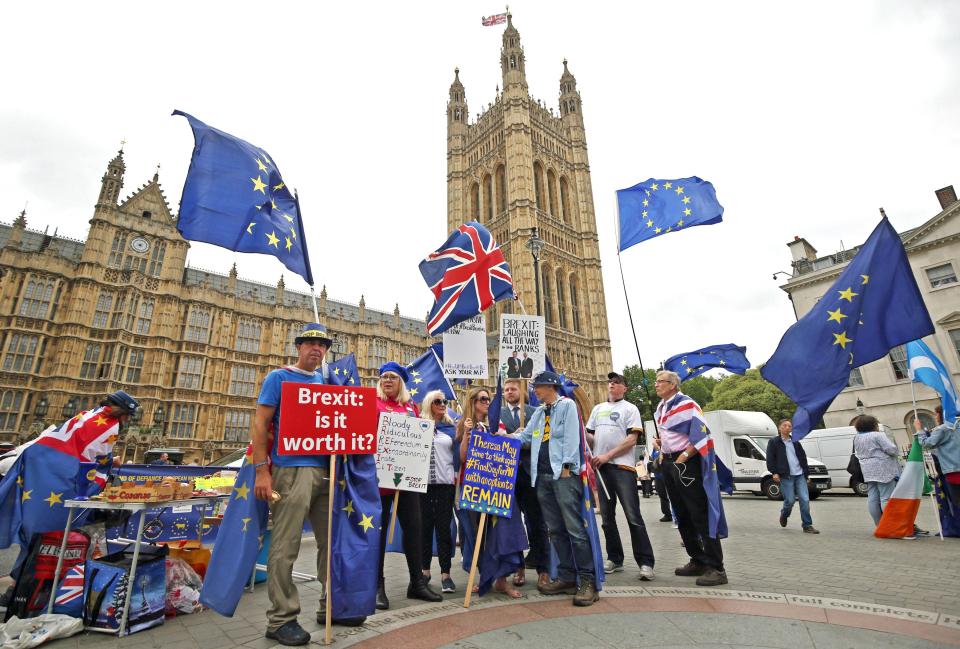  A group of Brexit opponents protesting outside Parliament