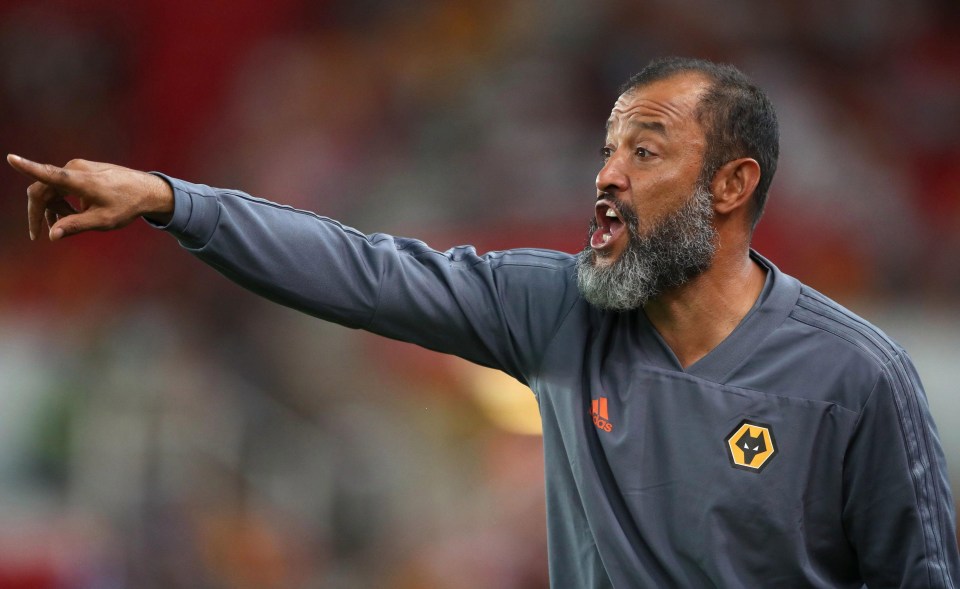 Nuno Espírito Santo guided big-spending Wolves to the Championship title but even they had to compromise their pure passing style at times