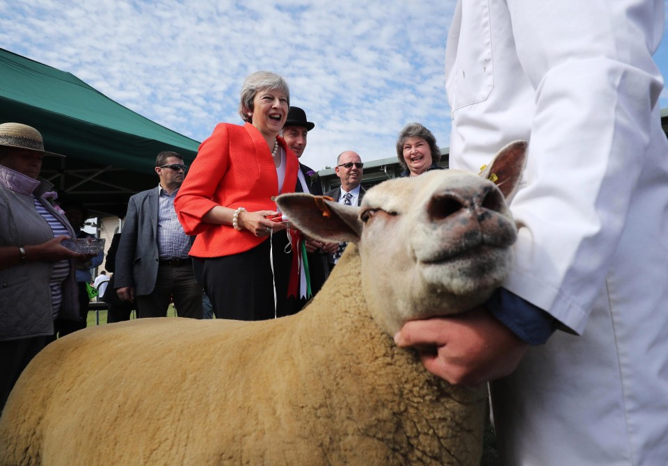 The Government has been accused of ‘promoting animal cruelty’ with deal to sell lamb which wasn’t stunned before being slaughtered