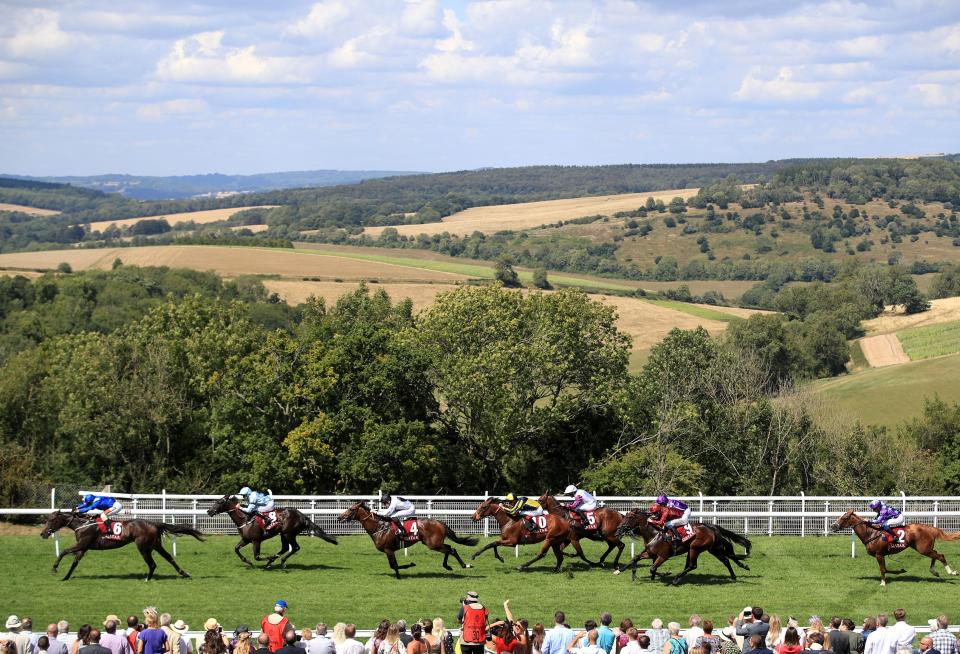  Blonde Warrior (far right) finished eighth in the Vintage Stakes