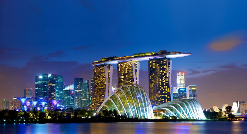  Lights... Singapore's skyline by night with the botanical gardens in the foreground