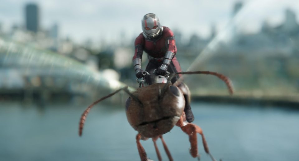  Ant-Man and the Wasp is much better than the first Ant-Man