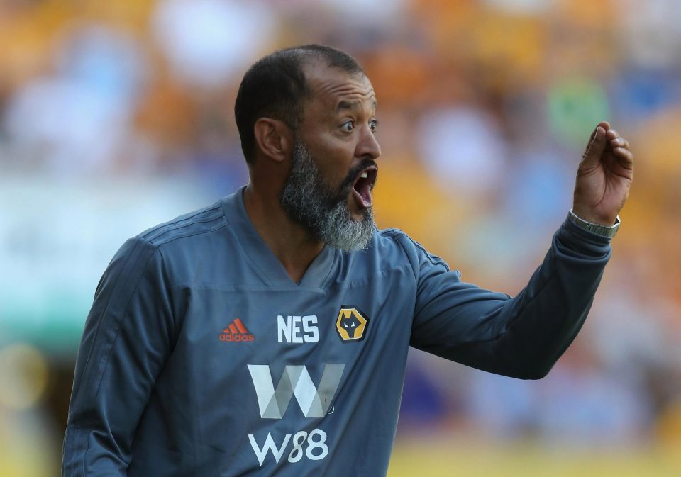  Nuno Espirito Santo has been handed a plethora of talent for Wovles' first season back in the Premier League