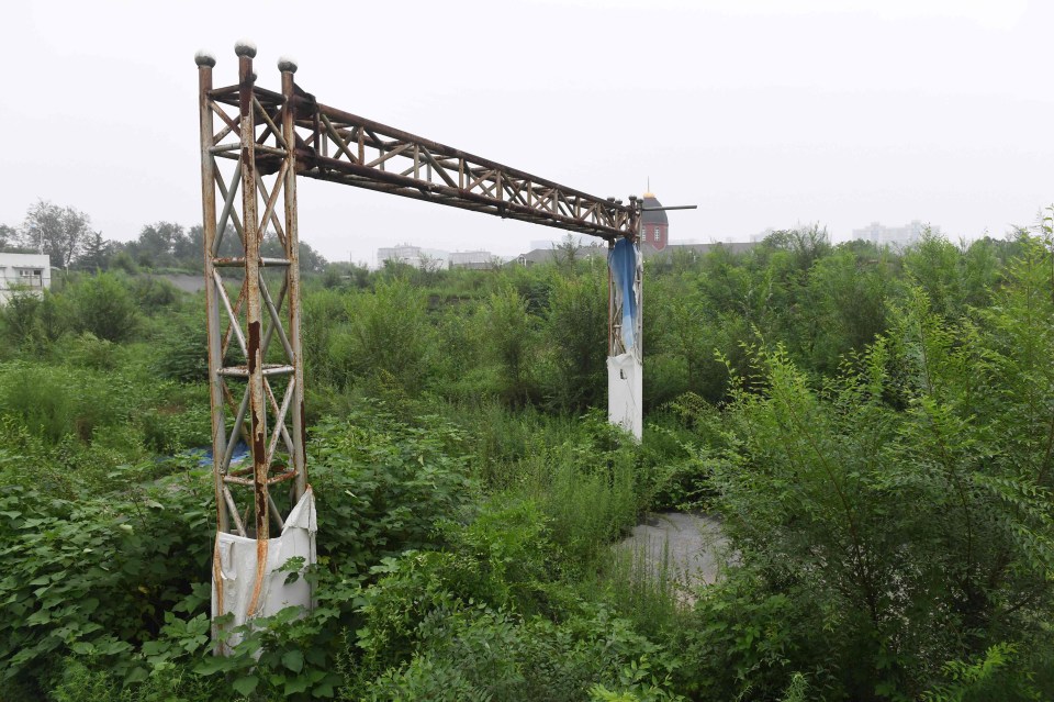 The once thriving BMX park looks more like a jungle after falling into a state of disrepair