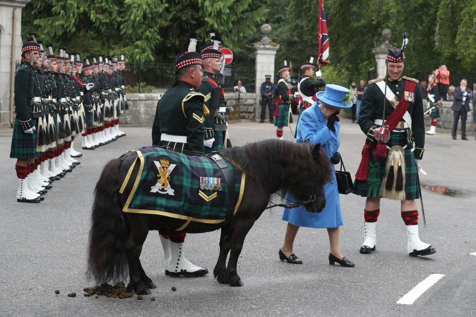  The Queen held her nose when a Shetland pony did a poo in front of her last year