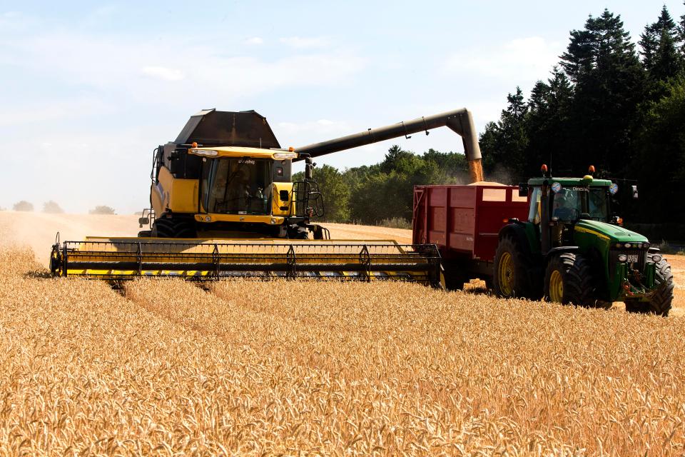  A Farmers Union has claimed we could be out of food in a year if there's no Brexit deal