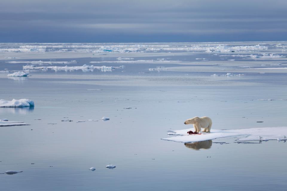  Polar ice sheets could melt as global warming runs out of control