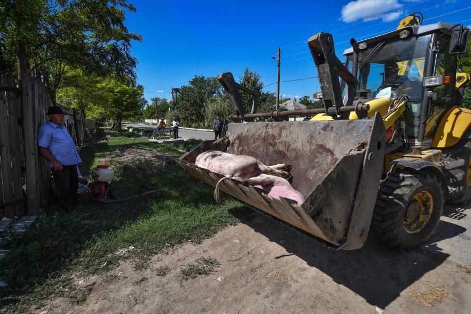  Authorities said they believe it was being spread by the water from the Danube River