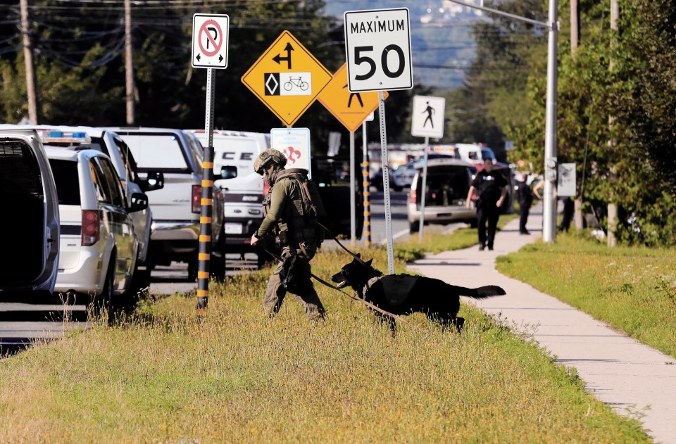 Emergency crews sealed off parts of the city