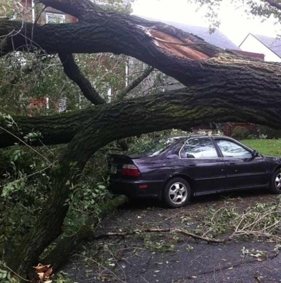 The owner of this car wouldn’t have believed their eyes to see it wasn’t crushed