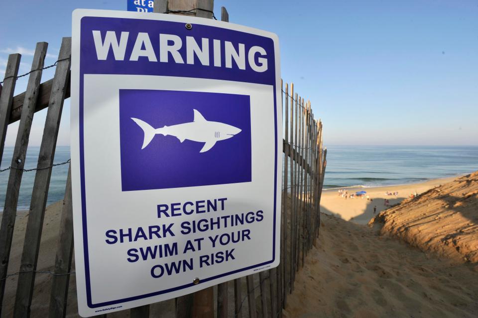  There are warning signs at Longnook Beach telling of the dangers of swimming