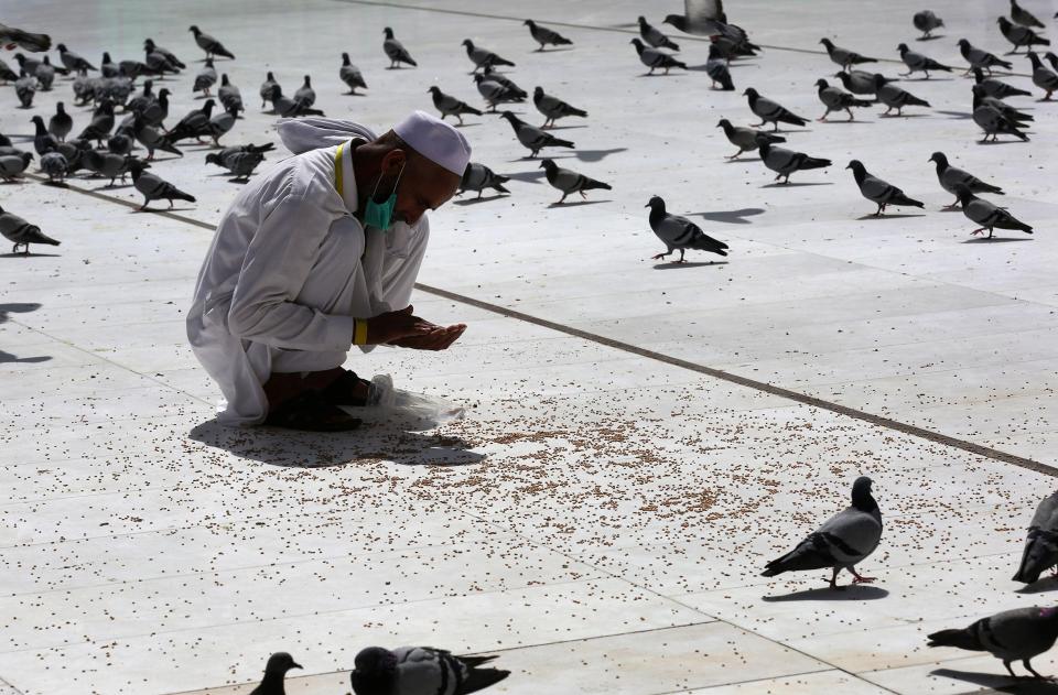  A man feeds pigeons outside the Grand Mosque before the start of the Hajj