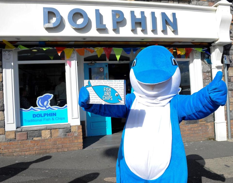  An ambassador for chippie Dolphin in County Tyrone, Northern Ireland, dresses to impress