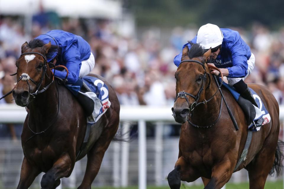  Old Persian (right) is likely to head to the St Leger next