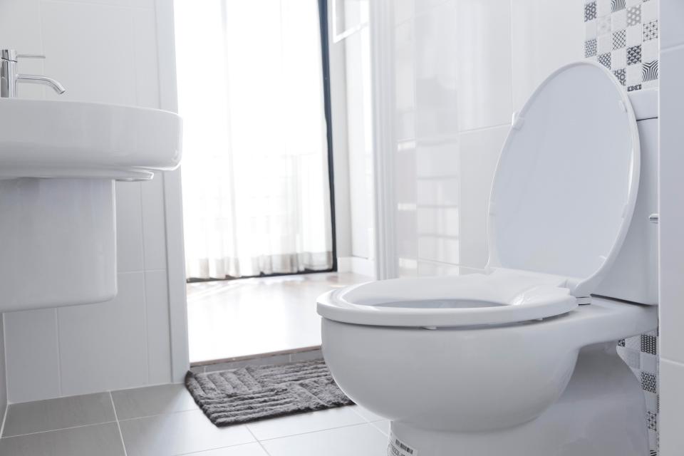  A toilet seat was found to have less bacteria than the screen of a some smartphones