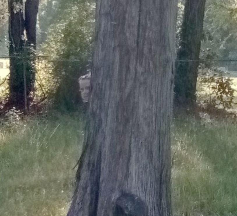 The ghoulish figure of a girl can be spotted peering around a tree in the cemetery