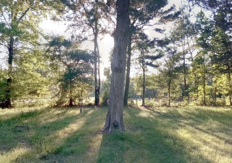 A creepy scene was unearthed by Google users who stumbled across this US graveyard. Can you spot what it is?