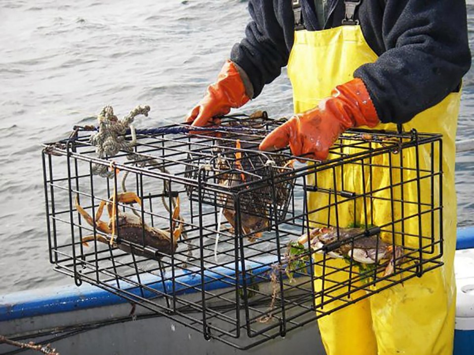 Crabbing pots have been damaged or stolen by French fishermen as the war over fishing in the Channel intensifies