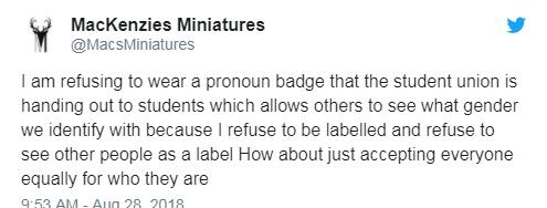  Twitter users have spoken out about the pronoun badges