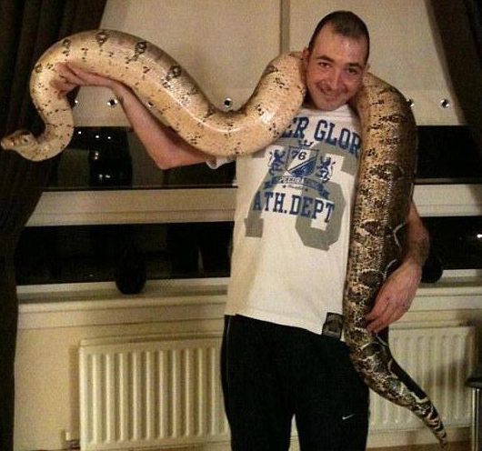  Twisted John Dickson attacked his victim with boa constrictor