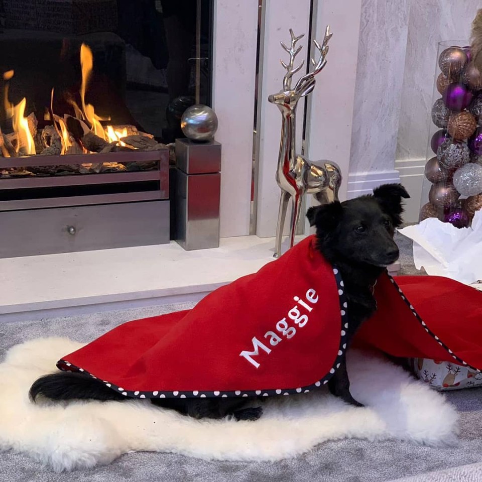 The dog enjoying some time by the fireplace