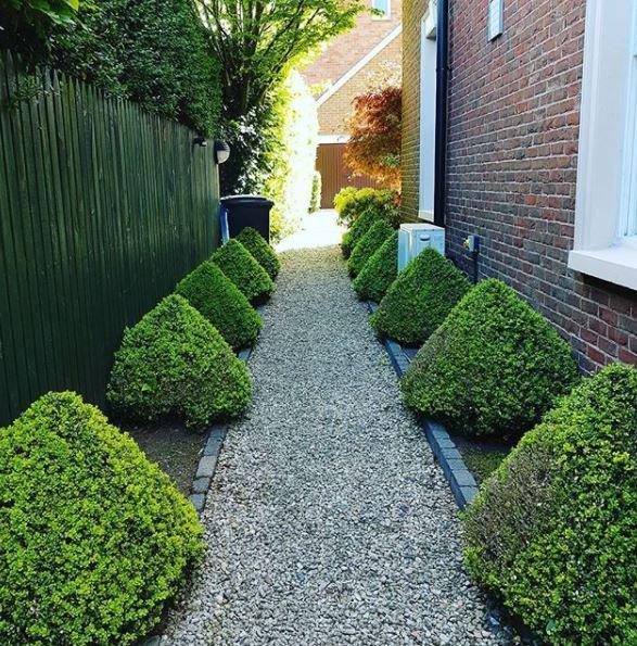 Eamonn takes a lot of pride in maintaining the garden – and loves trimming the hedgerows