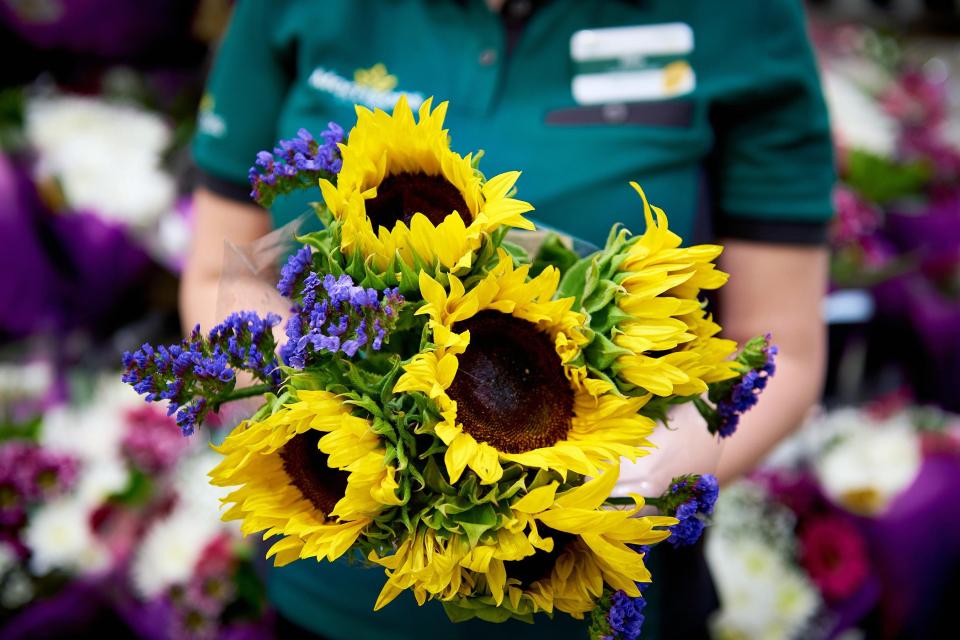  Morrisons will begin selling wonky flowers for the first time