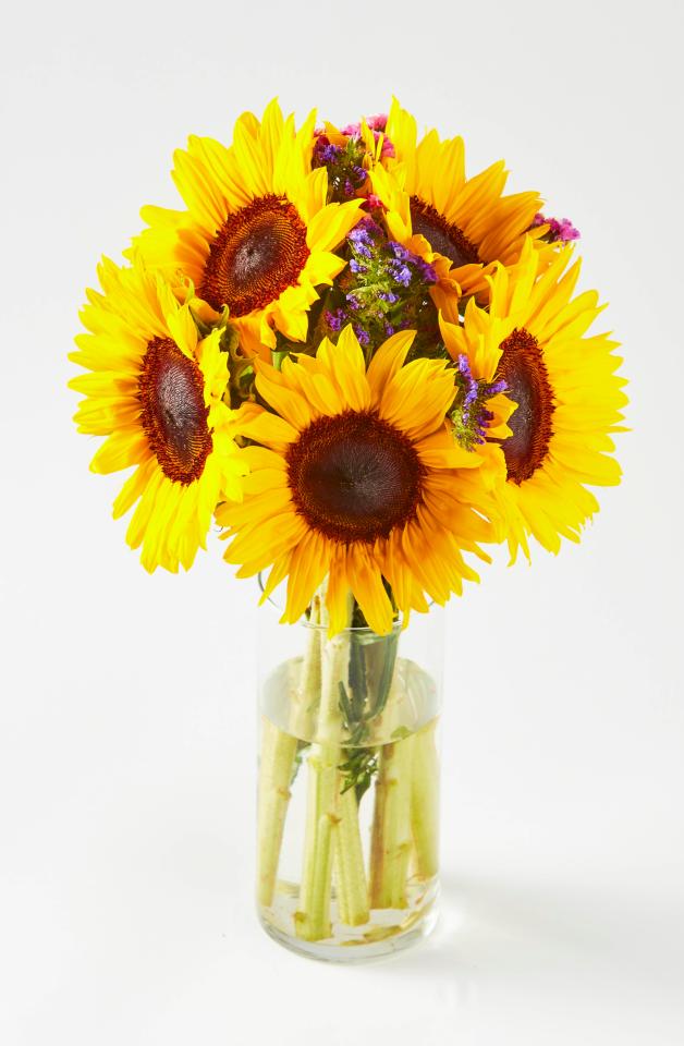  Wonky flowers may have shorter stems or smaller flower heads