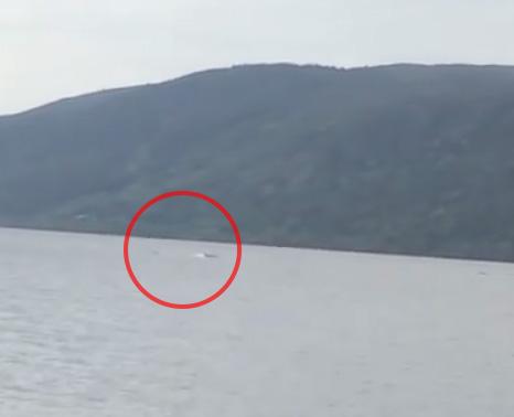  A tourist was convinced they saw the Loch Ness Monster in August 2018