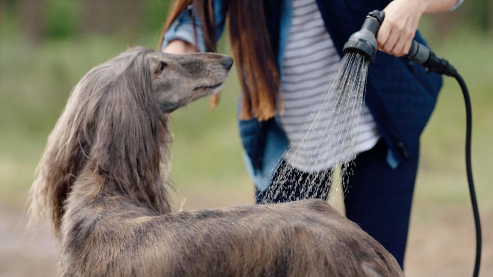  A portable shower lets you wash down muddy pets