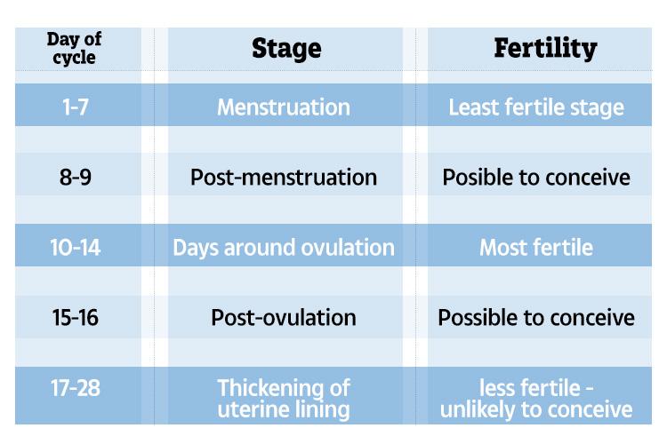 These are the best days in your cycle to have sex if you want to conceive 