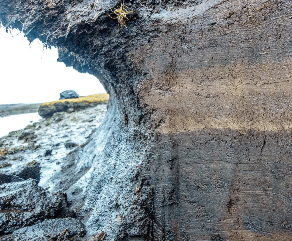 The lighter section of this rock face shows 1,500-year-old tsunami sands