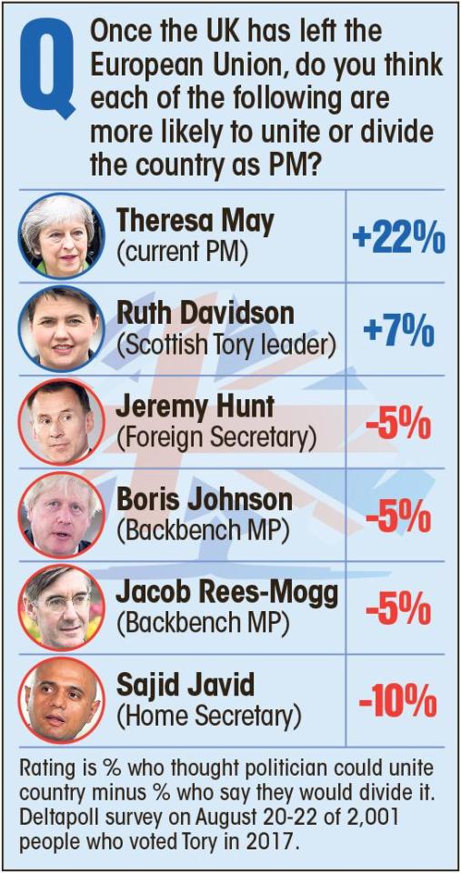  A recent poll put Theresa May's at +22 per cent in her ability to unite after Brexit