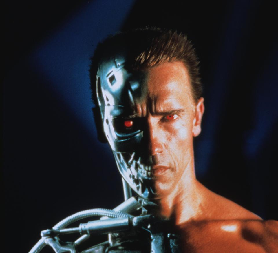 In the Terminator films, starring Arnold Schwarzenegger, an artificial intelligence system called Skynet seeks to wipe out humans